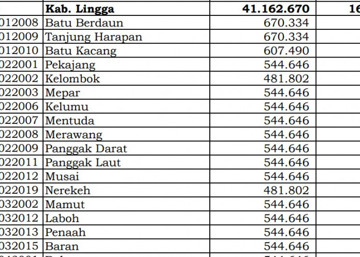 Berapa Rincian Dana Desa 2024 Lingga, Kepri? Cek Jawabannya di Sini