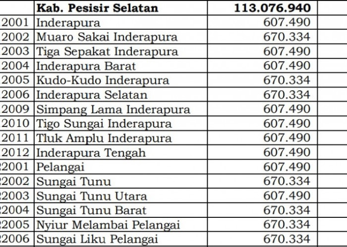 Wow! Pembagian Dana Desa 2024 Pesisir Selatan, Sumatera Barat: 45 Desa 1 Miliar