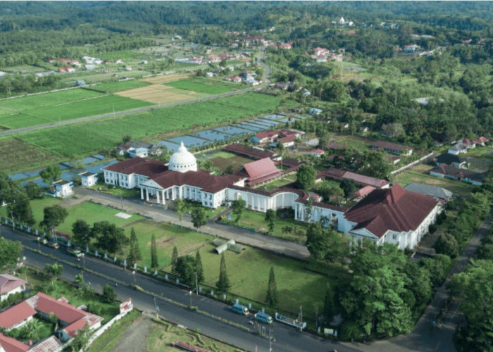 Belanja Perjalanan Dinas di Kepahiang Lebih Bayar Rp502,5 Juta, BPK Minta Disetor ke Kas Daerah