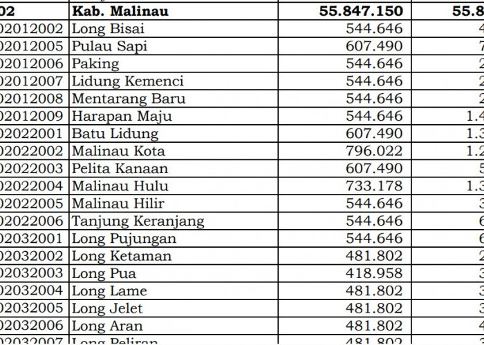 Rincian Dana Desa 2024 Malinau, Kalimantan Utara: Simak Jawabannya di Sini
