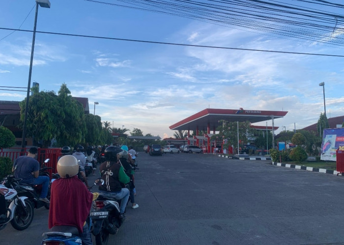 Dexlite dan Solar Langka, Distribusi Logistik di Bengkulu Terancam Terhambat