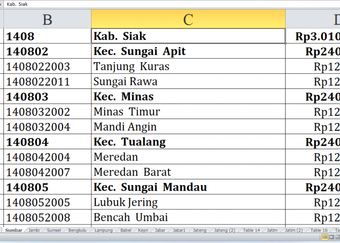 Berikut Daftar Desa di Siak dan Kuantan Singingi Provinsi Riau Raih Dana Insentif Desa 2024