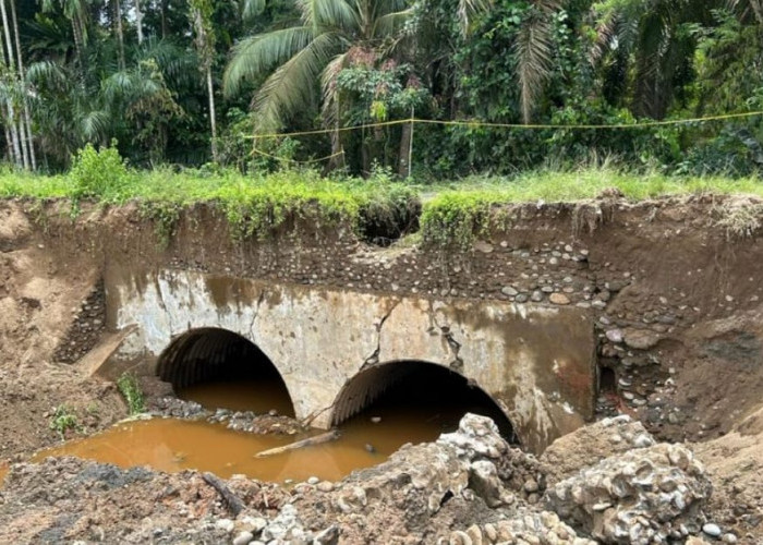 Rusak Berat Akibat Erosi Pascabanjir, Jalan Pemprov Bengkulu Harus Segera Ditangani