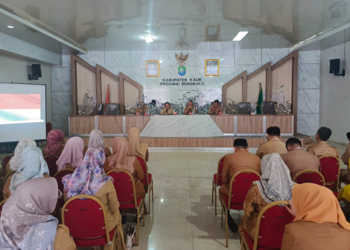 Menanti Kepastian TPP ASN Pemkab Kaur, Masih Terhambat Proses Verifikasi dan Keterbatasan Anggaran