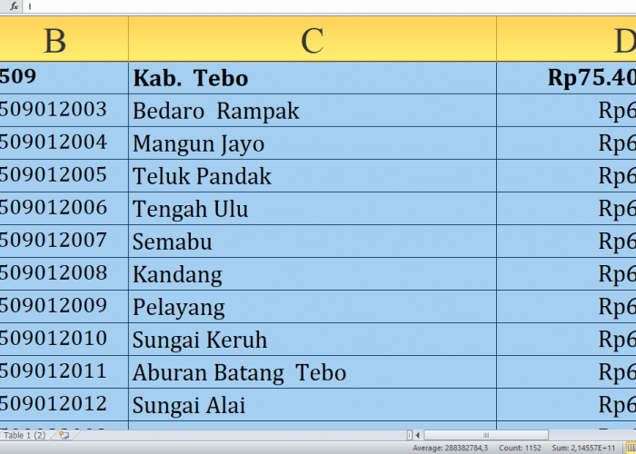 Rincian Dana Desa 2025 Tebo Provinsi Jambi Rp113,6 miliar: Jumlah per Desa, Siapa yang Terbesar?