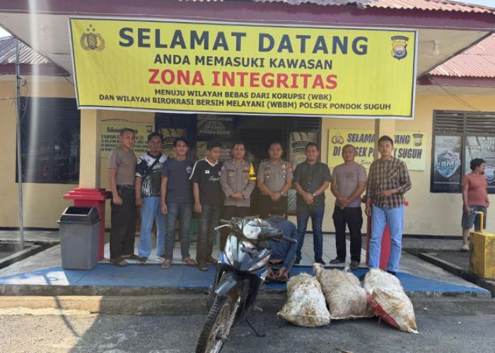 Curi TBS Sawit di Mukomuko, Pria 26 Tahun Diamankan Warga Sebelum Diserahkan ke Polisi