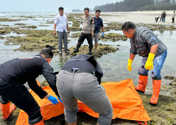 Jasad Pria Tanpa Identitas Ditemukan Tersangkut Karang di Pantai Panjang Kota Bengkulu, Begini Kondisinya