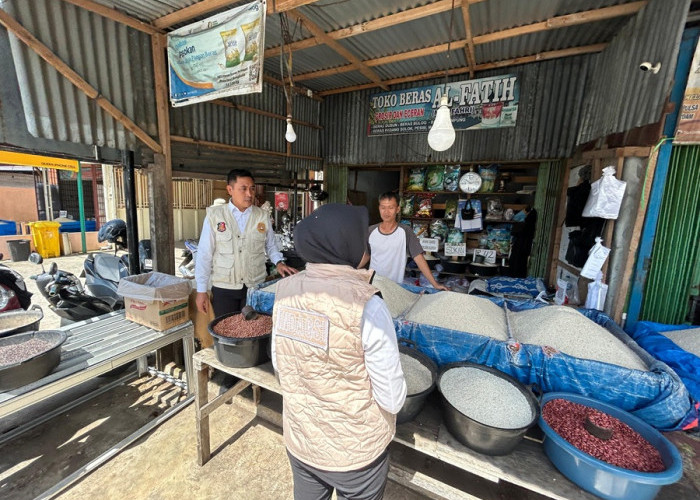 Awal Desember, Harga Beras Premium Tembus Rp16.500 per Kilogram di Bengkulu