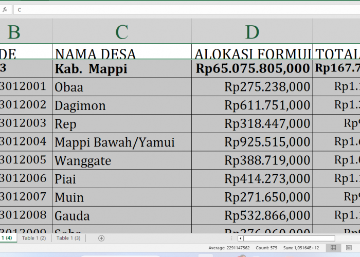 Alokasi Dana Desa 2025 untuk Mappi Provnsi Papua Selatan: Rincian Rp167,7 Miliar dan Desa Penerima Terbesar