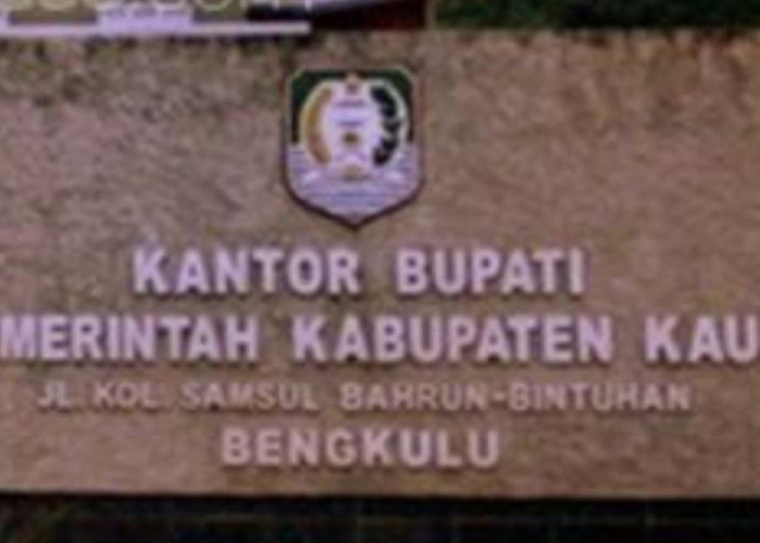 BPK Minta Pemkab Kaur Pulihkan Rp135,9 Juta Belanja Tenaga Ahli, Satpol PP Tertinggi