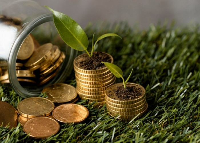 Bingung Ingin Berinvestasi Emas? Berikut 4 Tips Investasi Emas untuk Pemula
