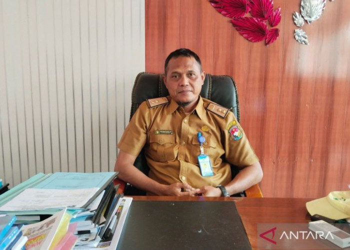 IKD Mukomuko Baru 3,4 Persen, KIA Justru Tembus 99,6 Persen dan Lampaui Target Nasional