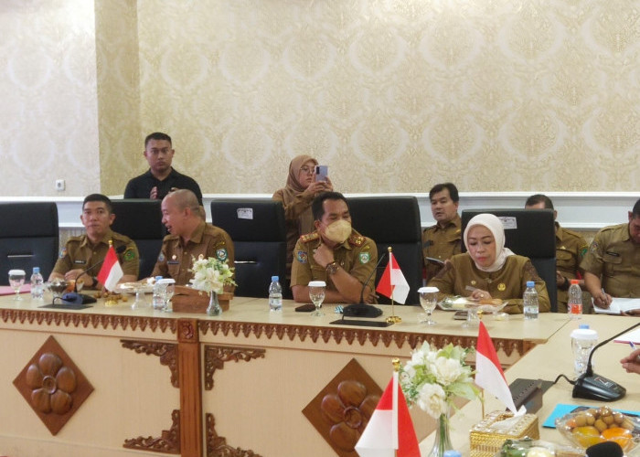 Karier ASN Bengkulu Bisa Terpengaruh, BKD Minta Data Diklat dan Sertifikat Dilengkapi