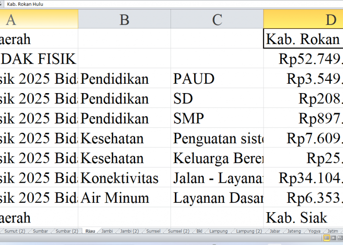 Rincian Pagu Dana DAK Fisik 2025 di Riau: Kabupaten Rokan Hulu, Siak, Kepulauan Meranti, Kota Dumai, dan Pekan