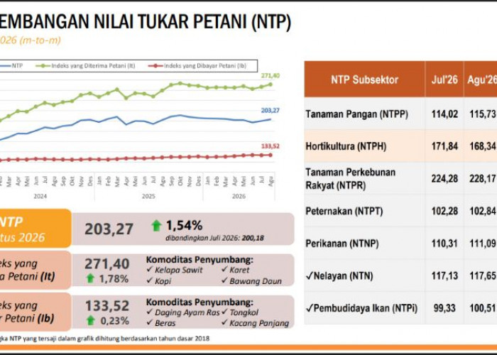 Harga Hasil Pertanian Bengkulu Naik 1,78 Persen, Hortikultura Malah Turun