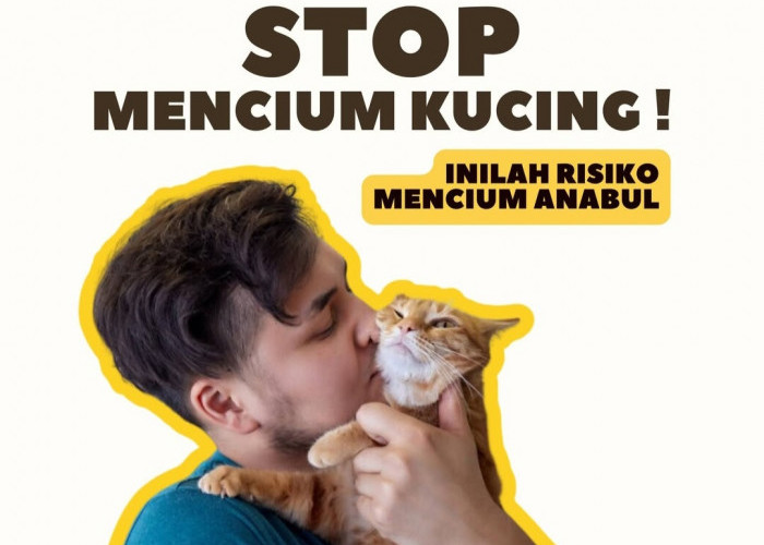 Stop Mencium Kucing! Ini 3 Bahaya dan Dampak yang Bisa Timbul dari Kebiasaan Ini