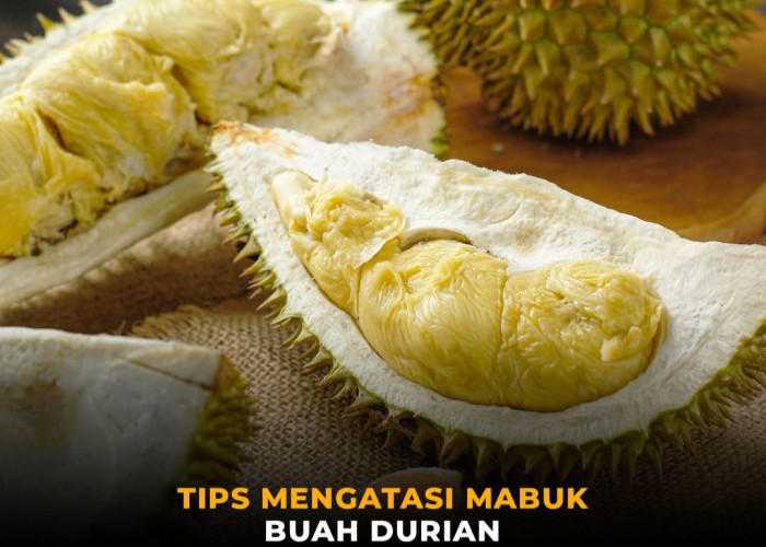 Banjir Durian di Bengkulu, Simak Trik Jitu Mengatasi Mabuk Durian Agar Tetap Nyaman!