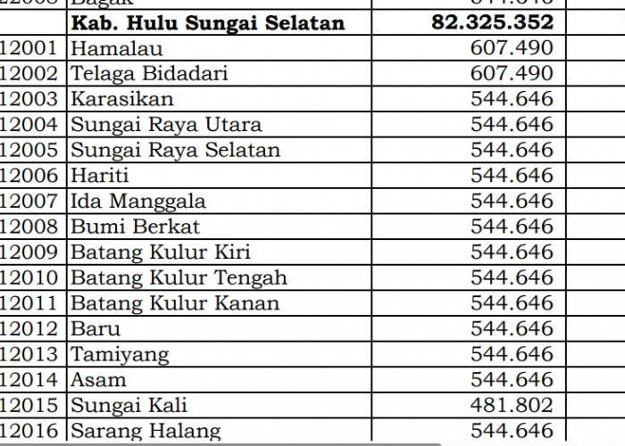 Rincian Dana Desa 2024 Hulu Sungai Selatan, Kalimantan Selatan! Simak Jawabannya di Sini