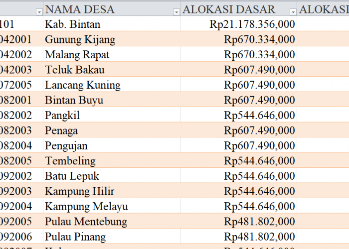 Tabel Rincian Dana Desa 2024 Kabupaten Bintan, Kepulauan Riau: Ini Lengkapnya