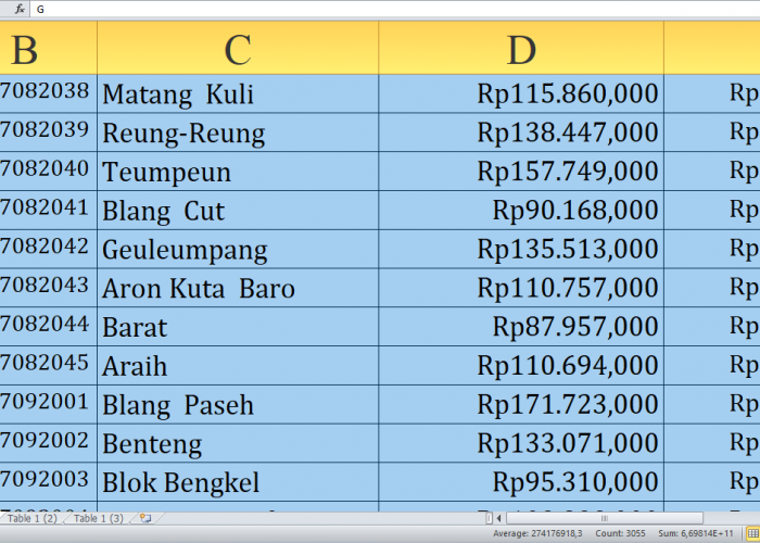 Cek Desa D-L, Detail Dana Desa 2025 di Pidie Provinsi Aceh: Rp502,7 Miliar Dibagi untuk Desa! 