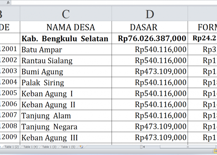 Alokasi Dana Desa Bengkulu Selatan 2025: Fokus pada Anggaran Terbesar untuk Pembangunan Desa