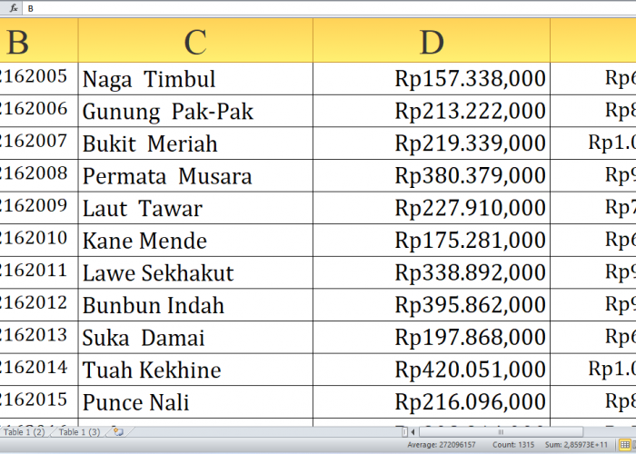 Untuk Desa Berawalan L-U Dana Desa 2025: Desa Mana di Aceh Tenggara Provinsi Aceh yang Paling Kaya?