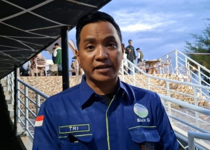 Angin Kencang 20 Knot Terjang Bengkulu, BMKG Tetapkan Wilayah Pegunungan Siaga