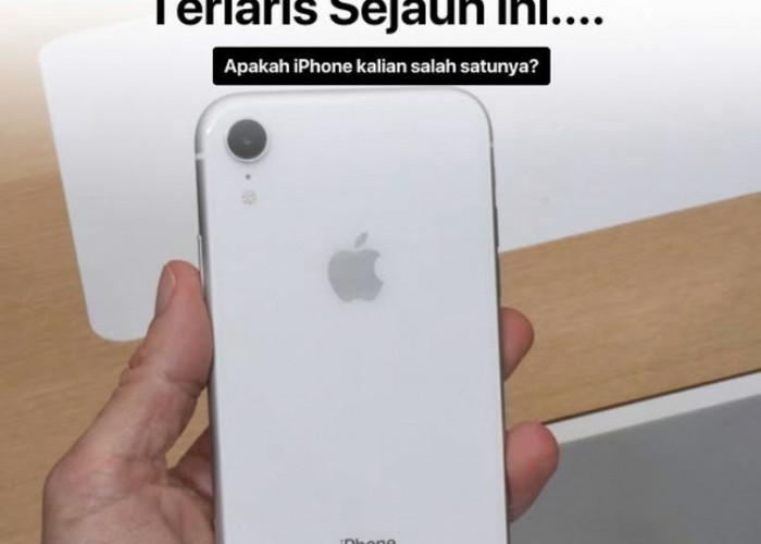 Daftar iPhone Base Model Terlaris Sejauh Ini, Apakah iPhone Kamu Salah Satunya?