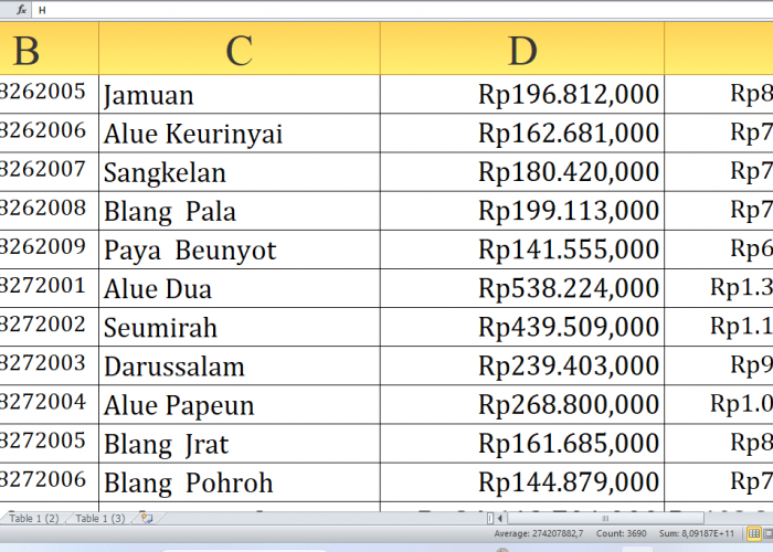 Rincian Dana Desa 2025 Aceh Utara Provinsi Aceh untuk Desa Berawalan R-U