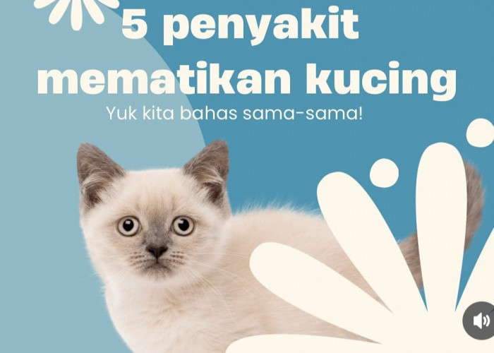 5 Penyakit Mematikan yang Bisa Menyerang Kucing dan Cara Mencegahnya