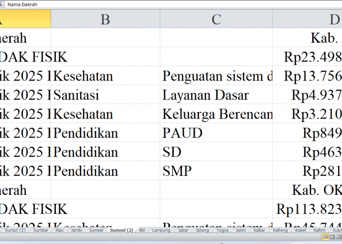 Rincian Pagu Dana DAK Fisik 2025 untuk Sumatera Selatan: Ogan Ilir, OKU Timur, dan OKU Selatan