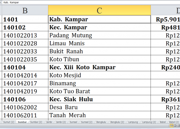 51 Desa di Kabupaten Kampar Provinsi Riau Raih Dana Insentif Desa 2024, Simak Rinciannya di Sini