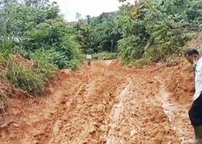 Lihat, Jalan Provinsi Ini Sudah Lama Berlumpur