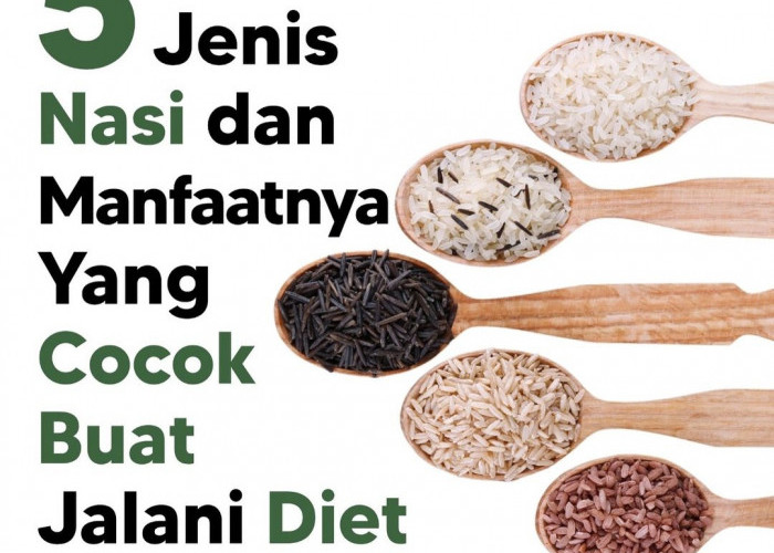 5 Jenis Nasi Sehat yang Sempurna untuk Diet Anda, Kaya Manfaat!