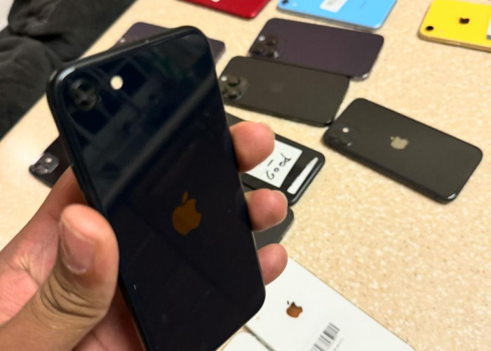 6 iPhone Murah Paling Rekomendasi untuk Awal Tahun 2025