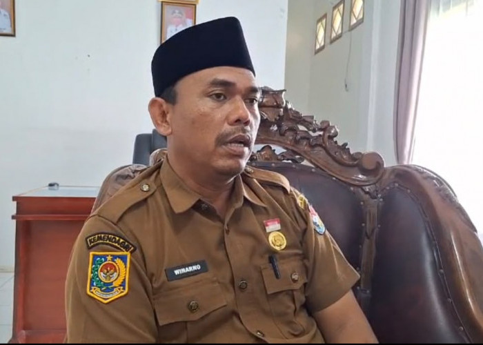 Nasib 1.864 PPPK Paruh Waktu Mukomuko Ditentukan Evaluasi, Kontrak Bisa Tak Diperpanjang