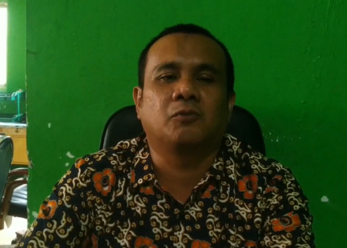 Peremajaan Kopi di Lebong Dimulai, 180 Hektare Disiapkan untuk Arabika
