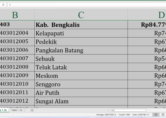 ﻿Detail per Desa, Rincian Dana Desa 2025 Bengkalis Provinsi Riau Rp136,7 miliar: Siapa yang Terbesar?