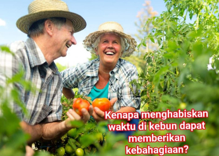 4 Alasan Berkebun Itu Dapat Meningkatkan Kebahagiaan