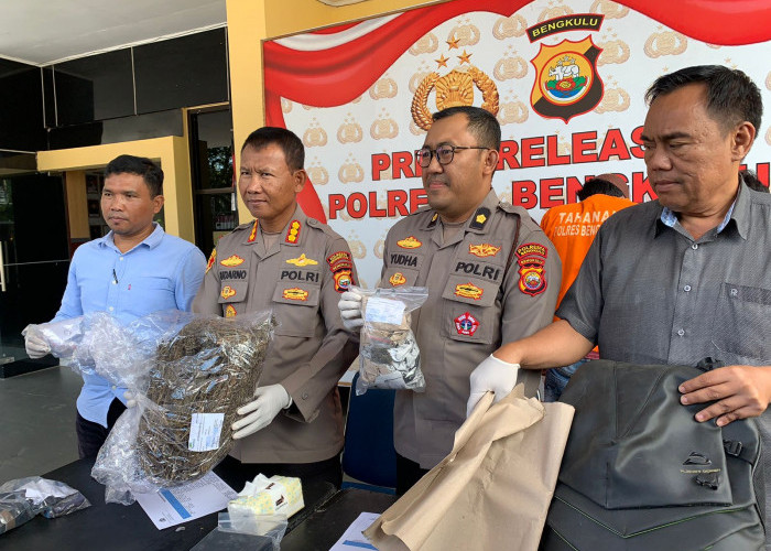 Polresta Bengkulu Tangkap 3 Pengedar Narkoba, Sita Hampir 2 Kg Ganja dan Sabu