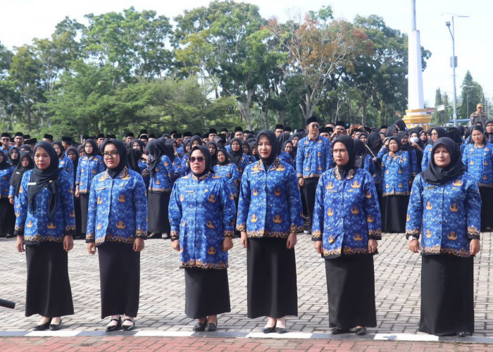 THR PPPK Paruh Waktu Belum Dianggarkan, BKD Mukomuko Tunggu Regulasi Pusat