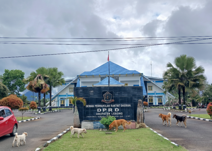 Krisis Vaksin Rabies di Lebong, 17 Ribu Hewan Terancam Tak Terlindungi Tahun 2026