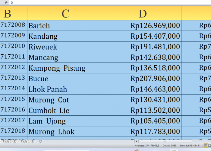 Detail Dana Desa 2025 di Pidie Provinsi Aceh: Simak untuk Desa L-P dari Pagu Rp502,7 Miliar Dibagi ke Desa! 