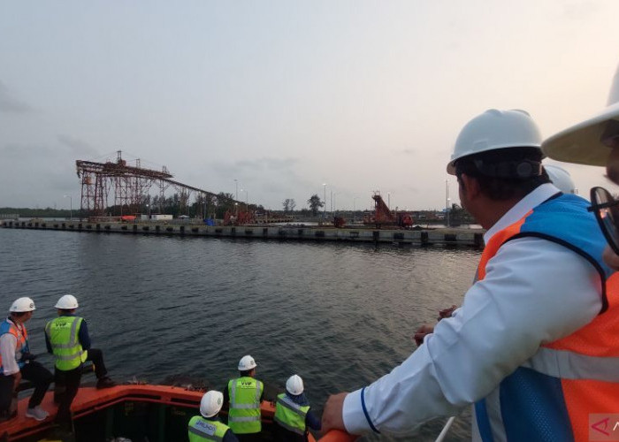 Pulau Baai Diusulkan Jadi Lokasi Hilirisasi Biodiesel, Bengkulu Bidik Nilai Tambah Sawit