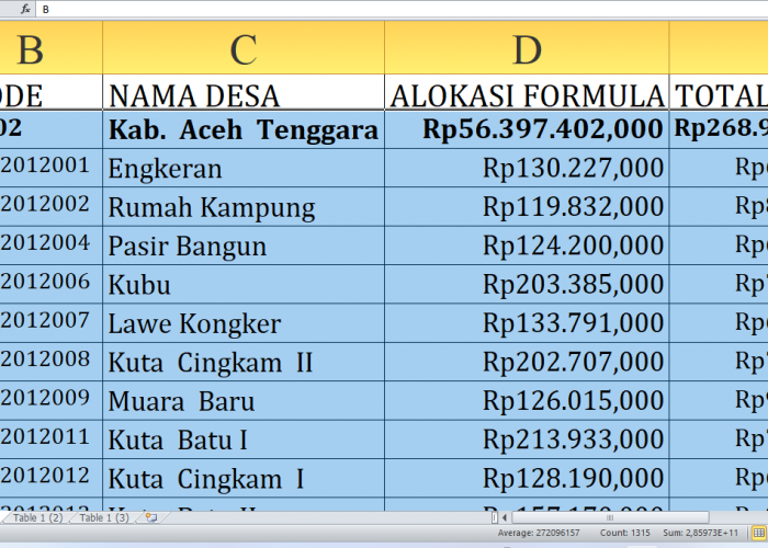 Dana Desa 2025: Desa Mana di Aceh Tenggara Provinsi Aceh yang Paling Kaya? Untuk Desa Berawalan A-L