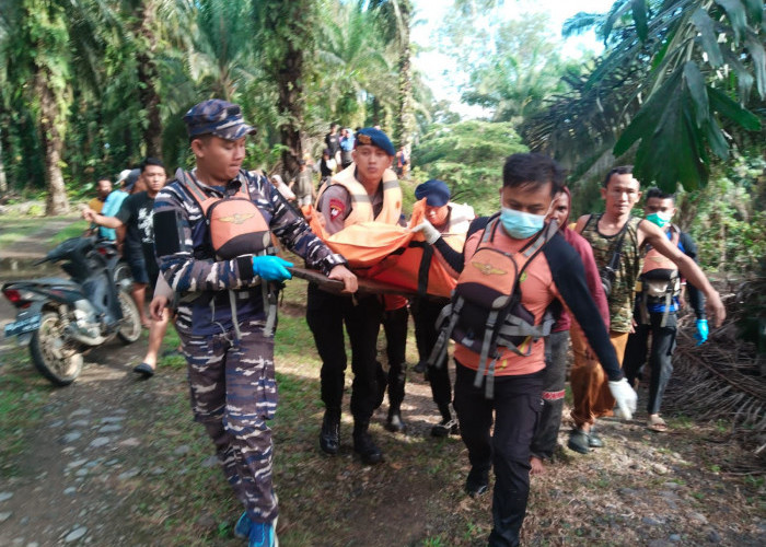 Hari Ketiga Pencarian, Korban Diduga Diterkam Buaya di Sungai Manjunto Ditemukan Meninggal