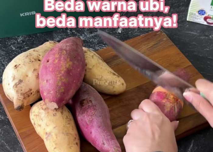 Manfaat Ubi dengan Berbagai Jenis Warna yang Patut Diketahui Bagi yang Sedang Diet