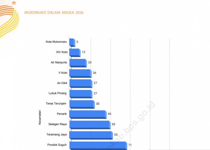 BPK Temukan Tunjangan Jabatan ASN Nonaktif di Mukomuko Tetap Dibayar, Nilainya Rp28,6 Juta