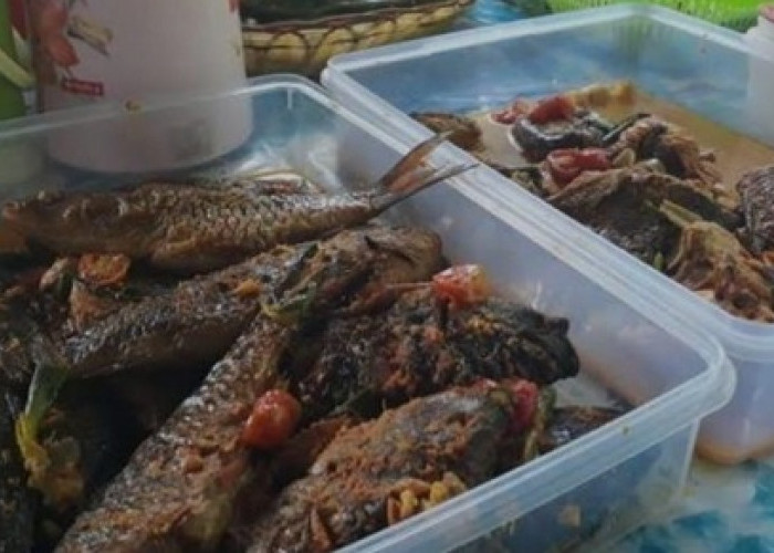 Lezatnya! Gulai 'Tapau' Ikan Palau Khas Bengkulu, Bikin Nambah Berkali-kali