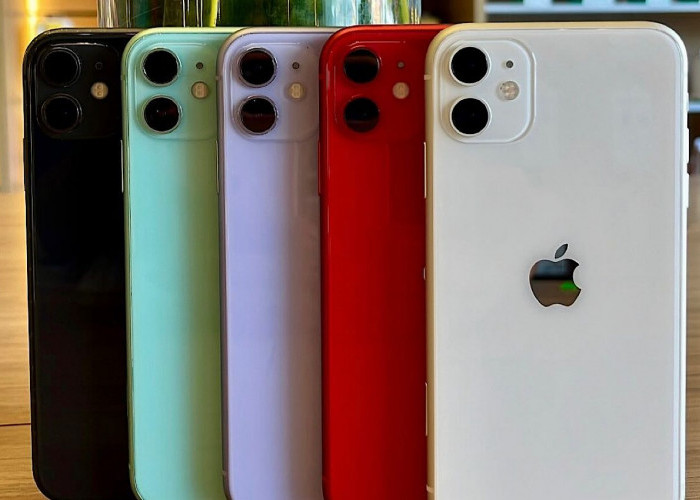 Rekomendasi iPhone untuk Masa Depan! iPhone 11 di Tahun 2024 Patut Dipertimbangkan